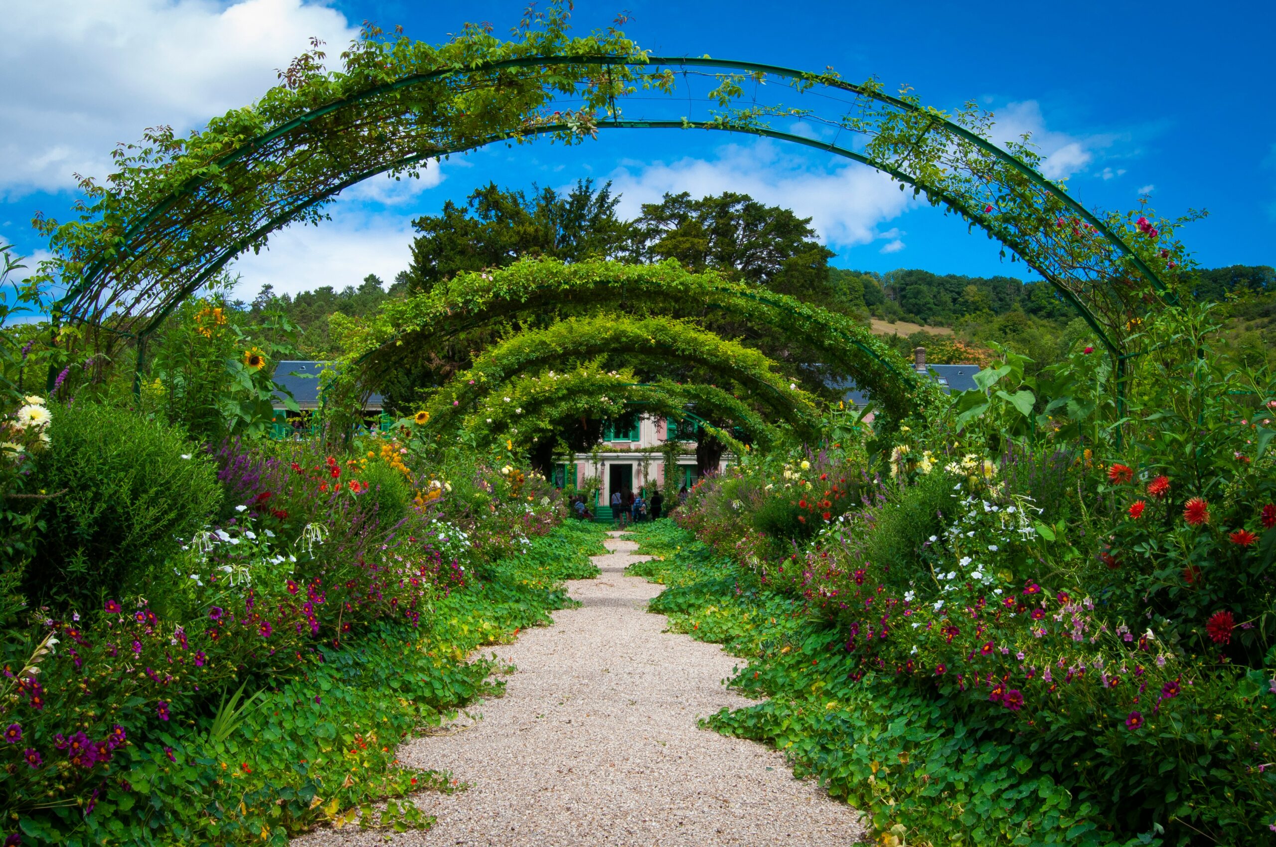 découvrez un jardin exceptionnel, un havre de paix où la nature s'épanouit dans toute sa splendeur. venez vous émerveiller et vous ressourcer dans ce jardin extraordinaire.